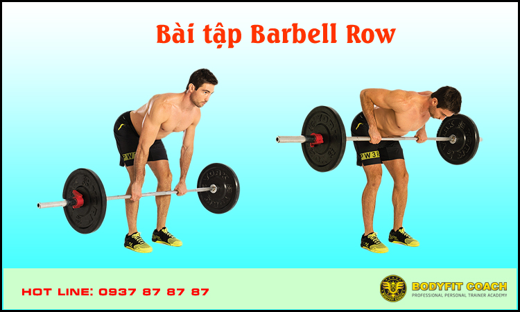 Bài tập Barbell Row