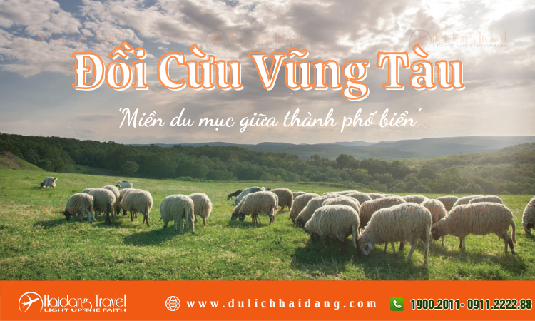 Đồi Cừu Vũng Tàu