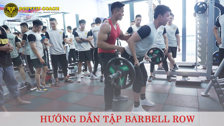 Tập Barbell Row