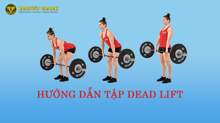 Tập deadlift