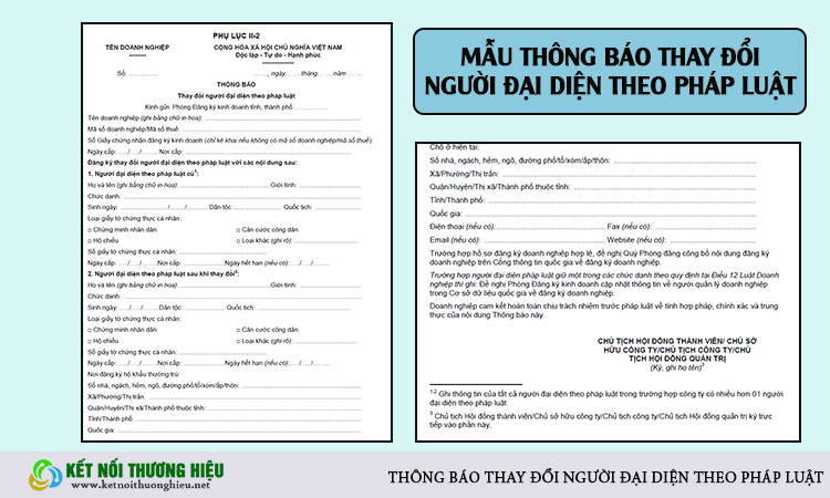 Thông báo thay đổi người đại diện theo pháp luật