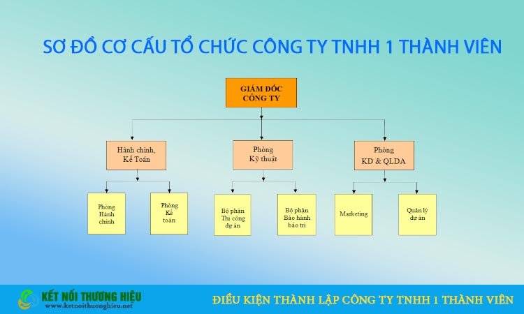 Cơ cấu sơ đồ tổ chức chủ sở hữu công ty TNHH 1 thành viên