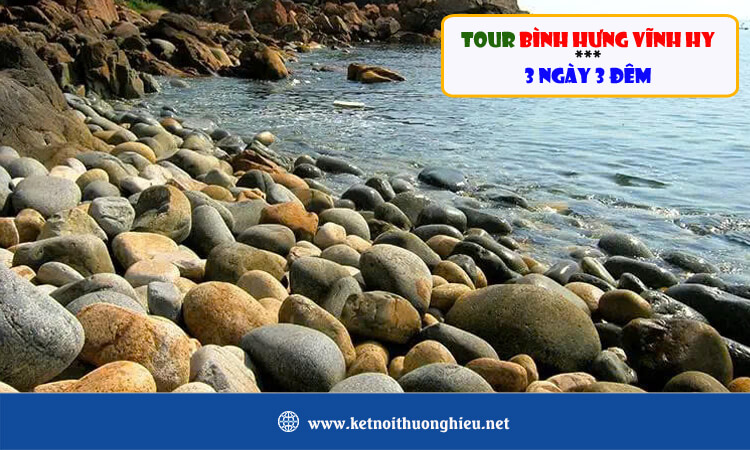 Tour Bình Hưng - Vĩnh Hy 3 ngày 3 đêm