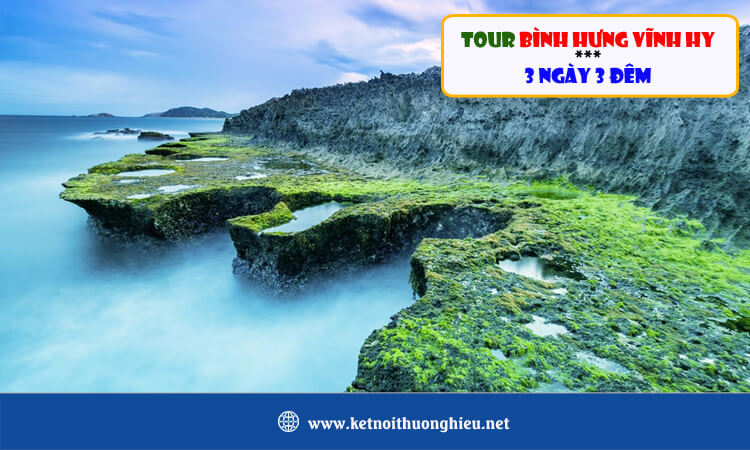 Tour Bình Hưng - Vĩnh Hy 3 ngày 3 đêm