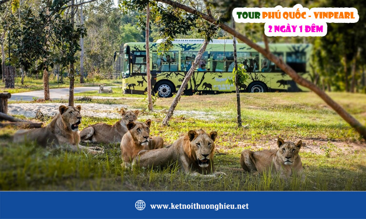 Tour Phú Quốc Vinpearl 2 ngày 1 đêm